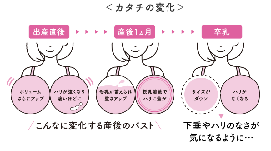 産後のバストは変化が激しい！【経験者】がイチオシのバストケアをご 